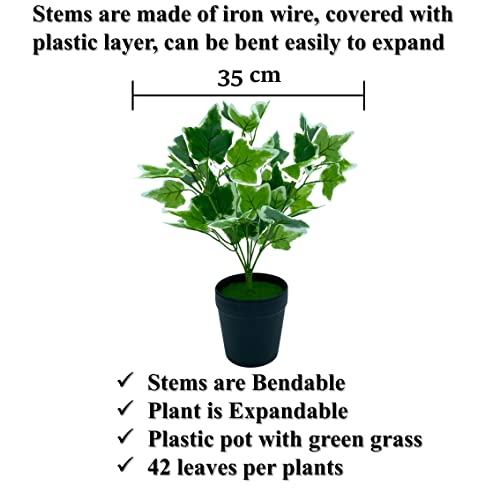 "Bring Life to Your Space with Stylish Tdas Artificial Plants in Pots - Perfect Home Decor Items for Indoor and Outdoor - Set of 2 (Design5) - 33 cm" "Bring Life to Your Space with Stylish Tdas Artificial Plants in Pots - Perfect Home Decor Items for Indoor and Outdoor - Set of 2 (Design5) - 33 cm"