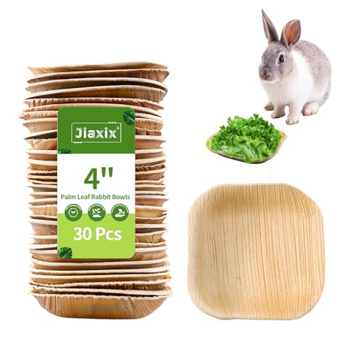 Jiaxix 30 Pcs Disposable Palm Leaf Bowl 4 Square Bowls for Rabbits Chewable Dish for Rabbits Bunnies Hamsters Parrot