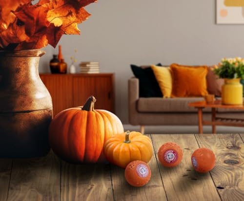 Image of A&H Odor BusterZ Pumpkin Cream 6pk Blister