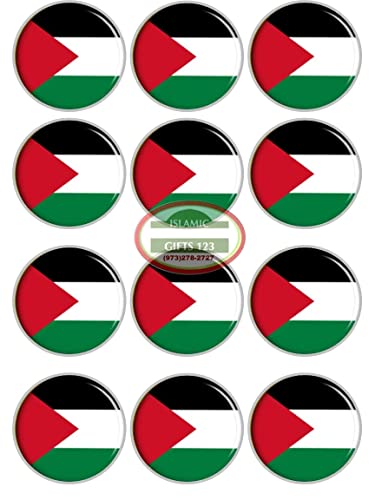 Palestine Flag Lapel Pins[ 6 PINS ] Palestine Flag Metal pin Palestine Flag Gifts Free Palestine Free Gaza Badges Dome of Rock Gift Jerusalem Arab Shemagh Arafat AL-AQSA Gaza Islamic Gifts 123 (6)