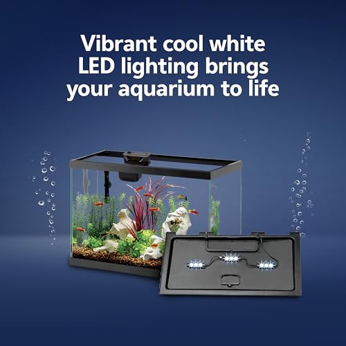 Aqueon Aquarium Starter Kit with Smart Clean Filtration and LED Lighting, Freshwater and Saltwater Fish, Perfect for Tetras, Guppies, Platies, 10-Gallon - Image 5