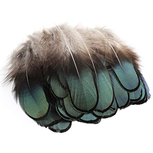 Mwoot 50pcs Natural Feathers, Plumes de Faisan pour les bijoux Artisanat et Décoration de Chapeau Spectacle Loisir Art (4-7.5cm)