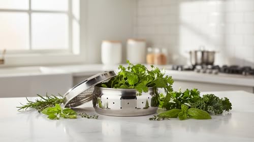 Image of Stainless Steel Green Coriander Storage Box Curry Leaves Box Set, Sprouts with air Ventilation Food containers Silver Dabba Flat Box Steel Dabba (Grater Dabba Large)