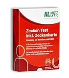 MetaLytic