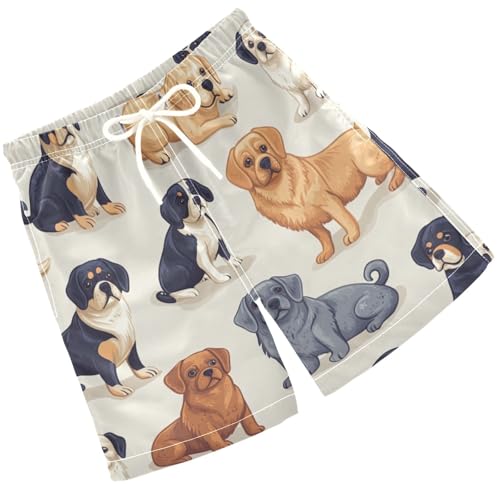 Pigsaly Boys' Swim Board Shorts Gold Corgi Husky Pug Dog Boy's Swim Trunks Kids Swimwear M