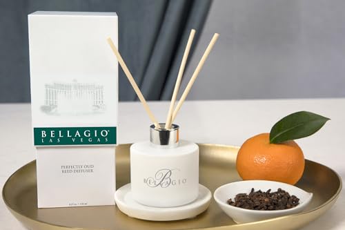Difusor de varillas Bellagio con aroma Oud 4.25 oz miniatura 2