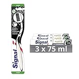 Signal