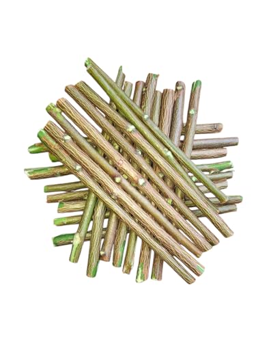 Image of Ayurvedic Natural Organic Neem Datun Toothbrush, Twigs Chew Sticks for Brushing Teeth Removes Bad Breath, Relieve Tooth Ache, Healthy Collected in The Wild. (Pack of 40)