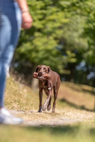 TX-32190 Preydummy, Canvas 5 × 12 cm, brown