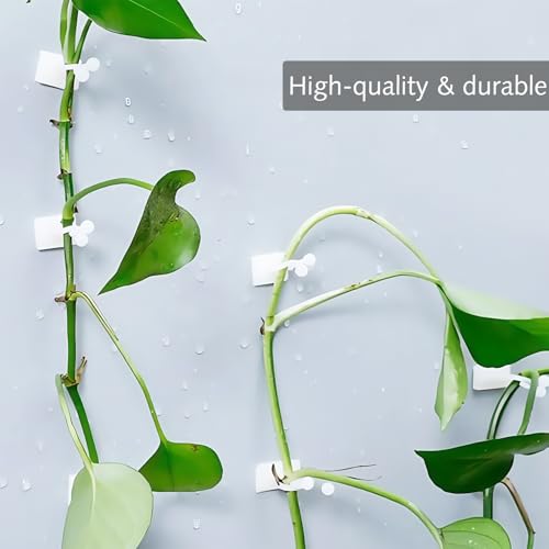 Ezranova 25pcs Pflanzenclips Kletterpflanzen Pflanzenhalter Wand Selbstklebende Pflanzenclips Klebstoffpflanze Gitter Clips Kletterhilfe Innenpflanzen Wand für Gartenbau Gemüse