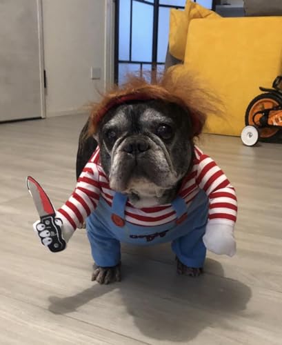 Bprtcra Halloween-Kostüm für Hunde, Deadly Doll Cosplay, Weihnachtskleidung und Party für Tiere (M)