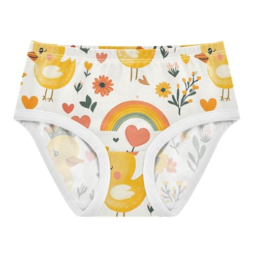 Wusikd Ducks Flowers Girls' Underwear Cotton Rainbow Daisy Girls Briefs Soft Toddler Underwear 2T