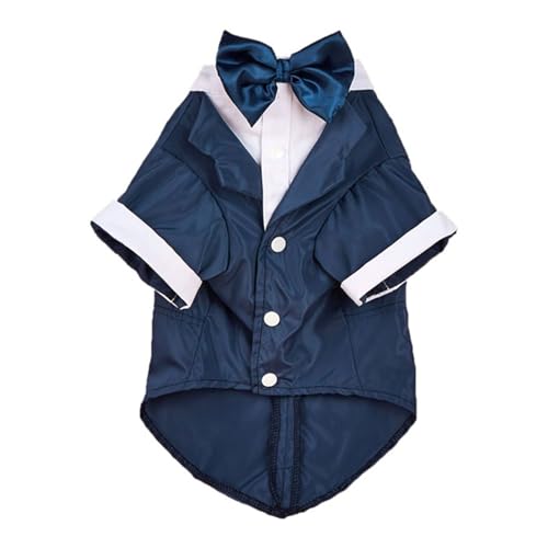 KȂ傤ы݃VcÂWvX[c̃J[Vc^LV[h`󕞌^p