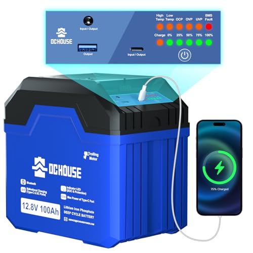 DCHOUSE 12V 100Ah LiFePO4 Bluetooth Batería de Litio con Luz SOC,USB-A, DC, Puertos Tipo-C,Built-in 100A BMS, Batería de Ciclos Profundos para Trolling Motor,Autocaravana, Caravana,Camping