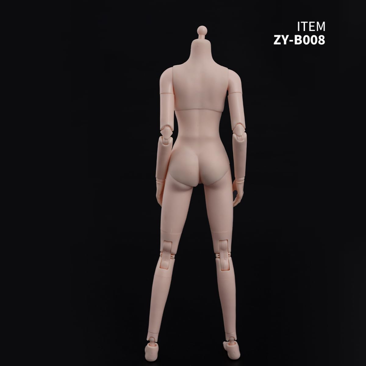 Amazon | HiPlay ZYTOYS 1/6 半シームレス女素体 ZY-B008 中胸版 女性