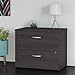 Bush Business Furniture Studio C 2 Drawer Lateral File Cabinet in Storm Gray - Assembled, Locking Document Storage for Home or Professional Office