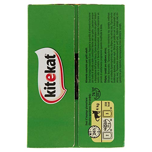 Kitekat il Curioso Esploratore in Gelatina con