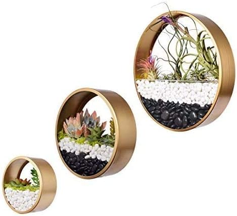 Miniatura 7 de Paquete de 3 macetas colgantes de pared, cesta moderna de pared redonda, maceta vertical para interiores y exteriores, jarrón para plantas