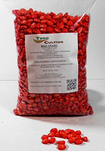 Medium Long Cycle (600) Non-GMO Hybrid Corn