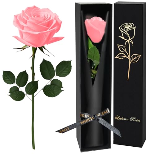 Forever Flowers Roses in A Box,Real Preserved Flowers,Preserved Roses,Preserved Flowers for Delivery,Birthday Gifts for Women/Men/Mom,Flowers for Mothers Day,Valentine's Day Rose Gifts,Red