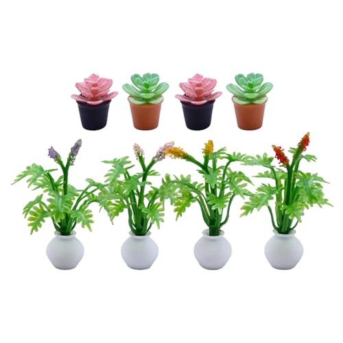 Beaupretty ~j`AẢ 8 h[nEXplHA V~[V~ CeA ^O[I[ig