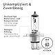 Bosch H4 Pure Light Halogen-Glühlampe für Auto-Scheinwerfer, 12 V 60/55 W, in Originalqualität - Lampensockel Typ P43t - 2er-Pack Ersatz-Scheinwerferlampen