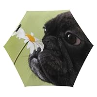 Dgsxynth Folding Umbrella, Dog Pattern Pug Flower Umbrella,5 Fold Travel Umbrella for Windproof, Rainproof