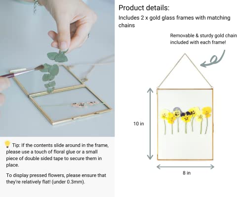 Double Glass Frame for Pressed Flowers, Leaf and Artwork - Set of 2 Hanging Picture Frames, Tempered Glass Floating Pressed Flower Frames, Large Rectangular Wall Decor Photo Display, Clear Metal Glass Frames with Chain (8x10, Gold)