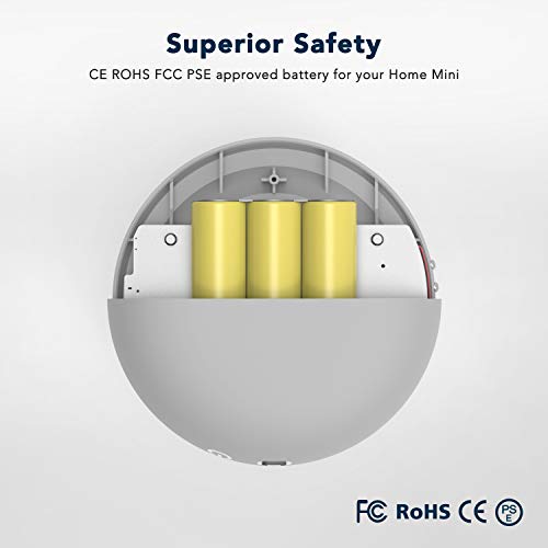 kiwi design google home mini