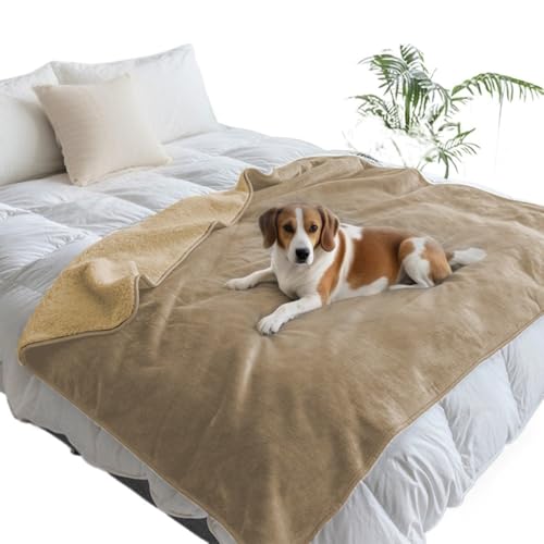 Angoda ybgh}bg \ 唻TCY h~  L ^ ^  xbh \t@[ 50cm 75cm 150cm 200cm (200*200cm,L)