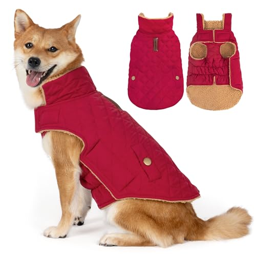 Vitiswap pEB^[R[gAghbOWPbg h h ybg h R[g ^p ^[glbN t[Xn p [htAbh ~fBA