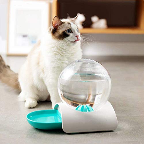 Petmii Dispenser per Acqua di Gatto, Dispenser per...