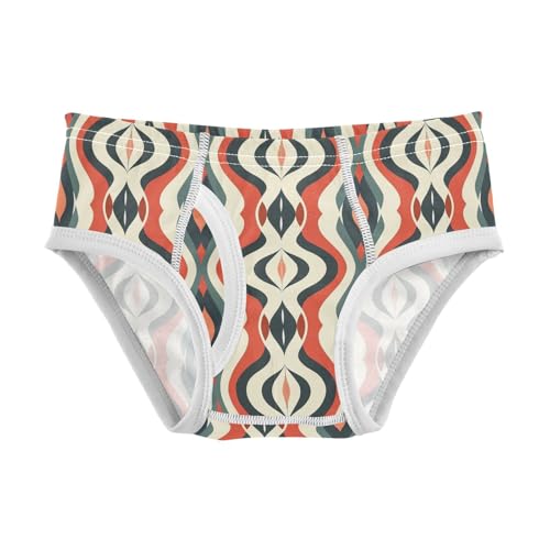 visesunny Boys Cotton Underwear Kaleidoscopic Illusion Line Printed Toddler Soft Training Briefs Size 2T-8Y for Kids
