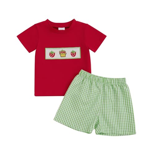 Image of Bonangber Toddler Baby Boy Summer Clothes Fruits Embroidery Short Sleeve T Shirt Plaid Shorts Sets Cute Boys Summer Outfits