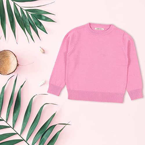 Toddler Little Kid Knited Sweater Tops Solid Color Basic Pullover Fall Winter Round Neck Tops for Girl Boys3