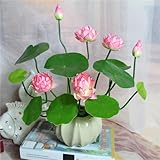 Evlasumflow 2pcs Artificial Lotus Flowers with Leaves 17' Pink Fake Water Lily Bouquets for Vase Bouquet Home Office Wedding Decor.(Pink,2pcs)