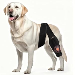 Dog Knee Brace for Torn Acl Hind Leg, Adjustable Compression Stabilizer, Keep The Joint Warm and Stable – Extra Support, L