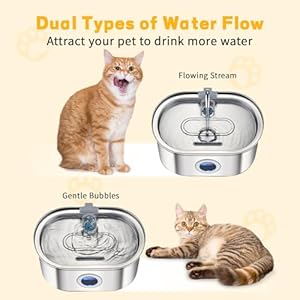 Cat Water Fountain 32l108oz Stainless Steel Pet Water Fountain Automatic Dog Water Fountain with Water Level Window Quiet Pump Multifilter Dishwasher Safe Water Fountain for Cats Inside  Cucciolini Doodles Cat water fountain 3 2l108oz stainless steel pet water fountain automatic dog water fountain with water level window quiet pump multi filter dishwasher safe water fountain for cats inside   cucciolini doodles