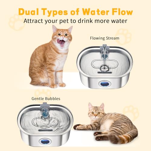 Cat Water Fountain 32l108oz Stainless Steel Pet Water Fountain Automatic Dog Water Fountain with Water Level Window Quiet Pump Multifilter Dishwasher Safe Water Fountain for Cats Inside  Cucciolini Doodles Cat water fountain 3 2l108oz stainless steel pet water fountain automatic dog water fountain with water level window quiet pump multi filter dishwasher safe water fountain for cats inside   cucciolini doodles