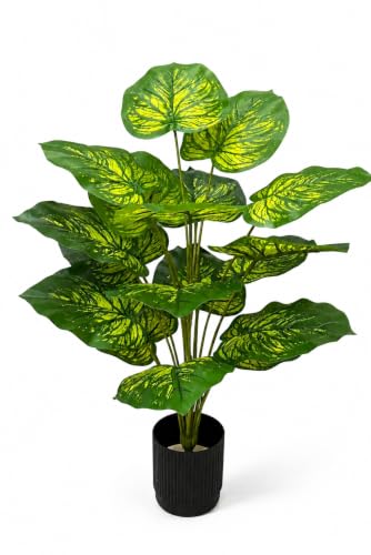Image of Cocco.BUA Artificial Plant with Black Pot, 18 Leaves, 76 CM (2.5 Feet) (Dieffenbachia Leaf Plant)