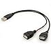 BSHTU USB Cable Y Splitter USB 2.0 Power Enhancer Hub Adapter Data Charger Cable Extension Code Type a 30cm (1 Male to 2 Female)