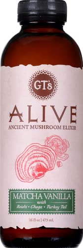 GTs Living Foods Matcha Vanilla Adaptogenic Tea, 16 FZ