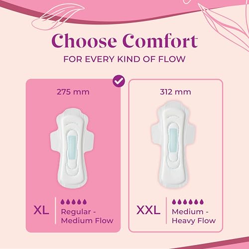 Image of Ammy Super Absorbent Maxi Thick Sanitary Pads - 80 Pcs XL for Medium Flow | Cottony Soft, Rash Free, Leak Lock with 6-Layer Shield & Active Flow Layer | Pack of 2