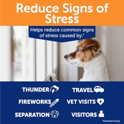 Image of ThunderBites Calming Chews for Dogs, 180 Count (Pack of 12)