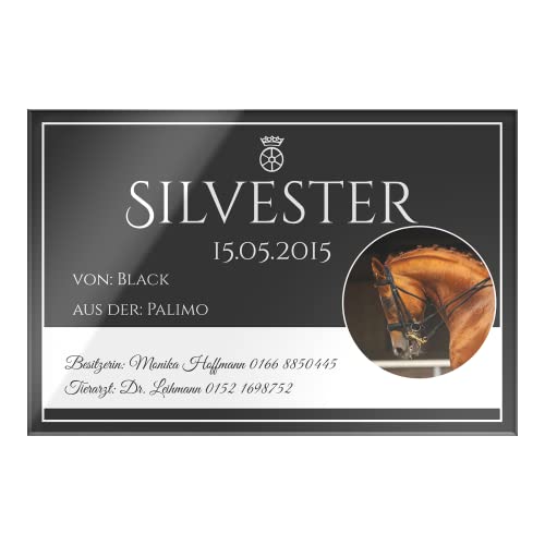 Brillibrum Design Metall Boxenschild Pferd Stallschild Wetterfest Individuelles Pferdeboxenschild Stalltafel Pferd (Mit Gravur