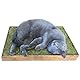 JR FARM Cat ESN Relax-Wiese