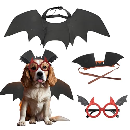 Disfraz de alas de murciélago para perros Halloween