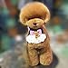 OPAWZ High-Density Toy Poodle Whole Body Dog Wig, Dog Mannequin Wig Brown, Wig Only