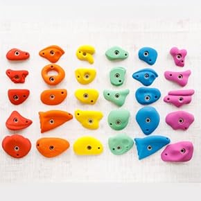 クライミング　ホールド 719LrSQtPYL._UF350,350_QL50_.jpg