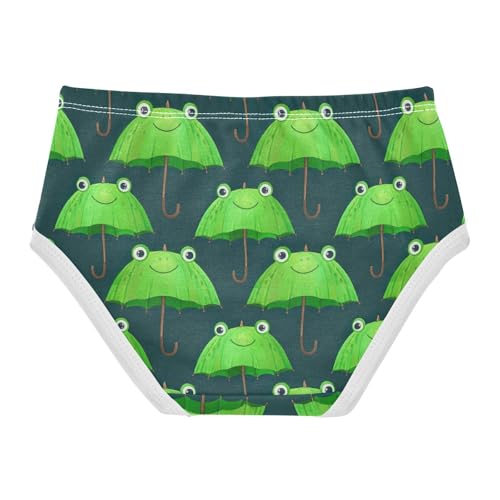 Joisal Personalized Toddlers Underwear Floral 2t Cotton Little Girl Panties Cute Green Umbrellas Frog Undies Kids Briefs2